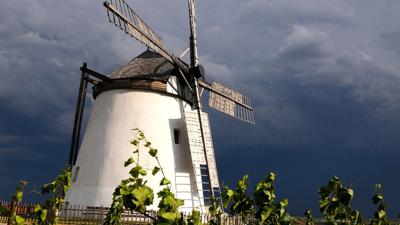Europäischer Fernwanderweg E8 – Abschnitt Weinviertel