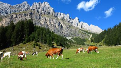 FAMILIENWANDERWEG Windraucheggalm