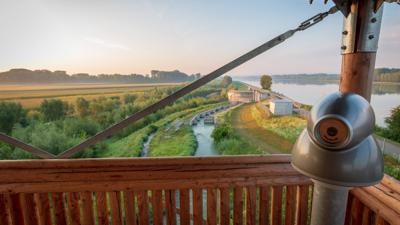 Familienspaziergang an der Donau