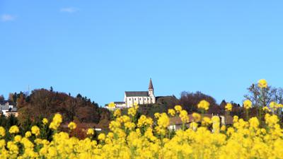 Felder, Bäche und Romantik S9