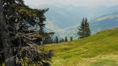 Saalachtaler Höhenweg