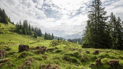 Saalachtaler Rundweg – 5. Wandertag