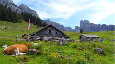 SalzAlpenTour Annaberg: Stuhlalm – Stuhlloch – Loseggalmen (30 Punkte)