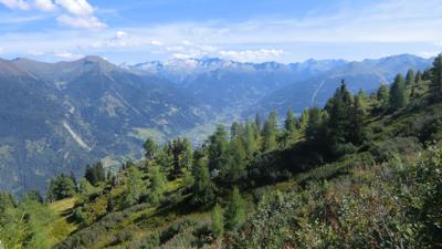 Salzburger Almenweg – Etappe 05: Dorfgastein – Heinreichalm – Präau Hochalm – Biberalm