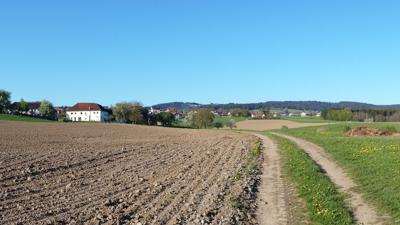 Salzwegrunde