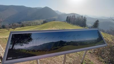 Sandner Linde – Kaiblinger Kogel