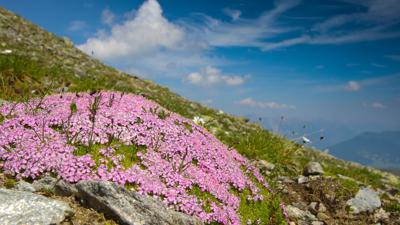 Sattelkopfsteig zum Unteren Sattelkopf