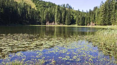 Vorderstoder – Windhaagersee