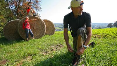 W15 Moorweg (von Bad Tatzmannsdorf nach Oberwart)