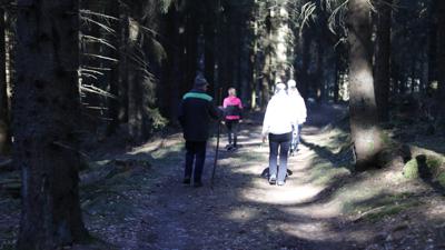 Plochwaldrundweg