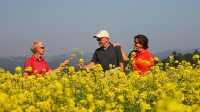 W54 Panoramaweg (Oberschützen, Mariasdorf, Neustift, Jormannsdorf)