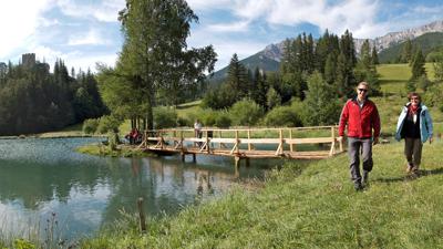 WAB – Regionale Route P: Puchberg – Edelweißhütte