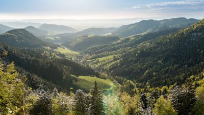 WAB – Regionale Route S Teil 2: Würflach – Hohe Wand – Grünbacher Sattel
