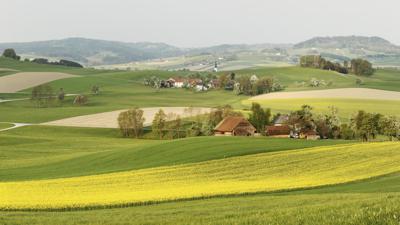WALDZELLER RUNDE – Marienweg