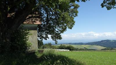 Wackelstein-Leitenhäuser-Weg