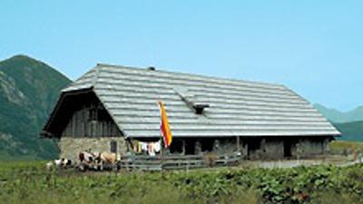 Waidegger Alm über Waidegger Höhe