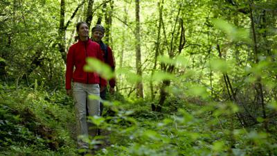 Wald – Luis-Trenker-Steig – Wald