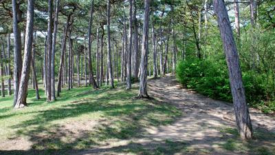 Waldandacht – Schelmenloch