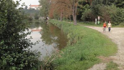 Waldandacht-Wanderweg nach Reidling
