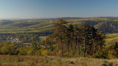 Waldlehrpfad – Schönberg am Kamp