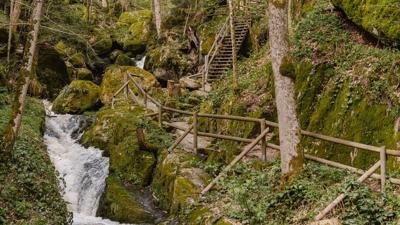 Waldlehrpfad – Yspertal