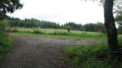 Cultura Trail Römerweg Eichgraben