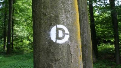 DUR 2: Oberbergern – Schenkenbrunn