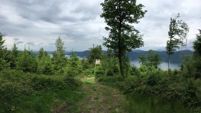 Dachsteinblick – Rossmoos