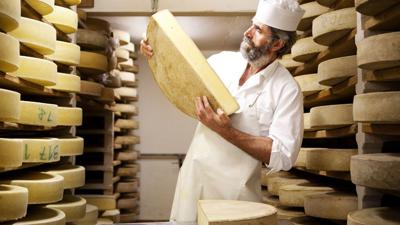 Dem Käse auf der Spur