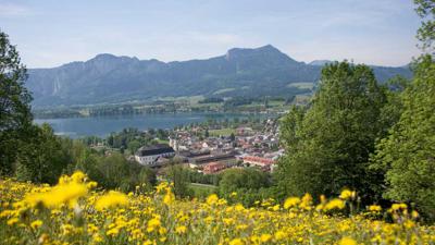 Hauberg – Lederberger