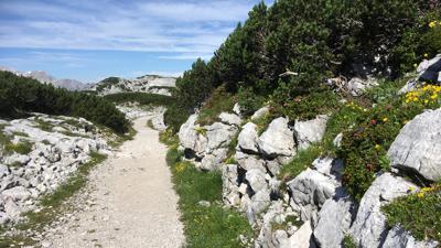 Heilbronner Rundwanderweg