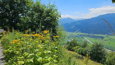 Piesendorf: Areitalm/AreitLounge