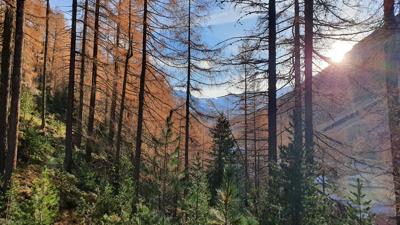 Pillersee – Obergurgl