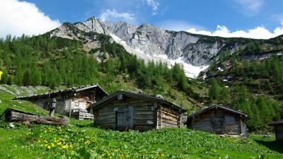 Pletzachalm – Pasillsattel – Pasillalm – Pletzachalm