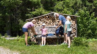 Rund um den Kogl in Thierbach