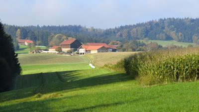 Runde WIRMLING