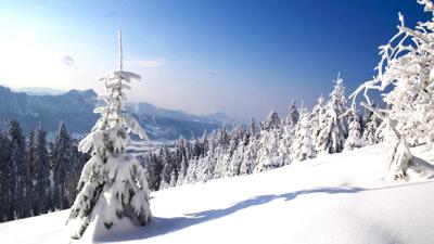 Rundtour vom Gasthof Kulm in Oberwang zum Aussichtsturm Kulmspitz