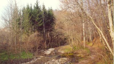 Rundwanderung Hofgraben in Traunkirchen
