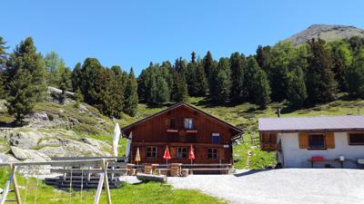 Rundwanderung Landschaftsteich Piller – Aifner Alm – Kreuzjöchl – Kielebergalm