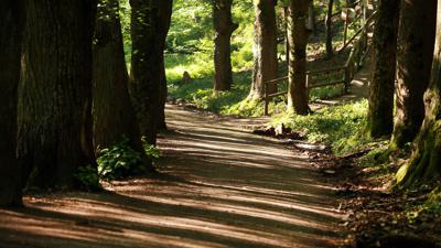 Rundwanderung Naturpark Sparbach