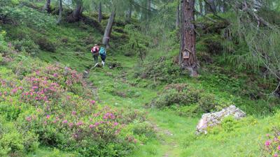 Rundwanderung Pfaffenboden – Spitzköfele – Bärenbadegg – Porzehütte – Pfaffenboden