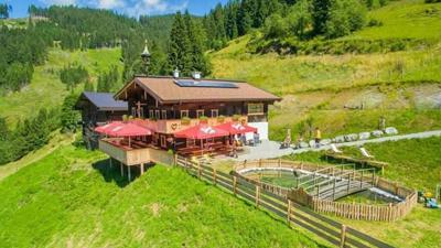 Rund um das Öbristköpfl / Wagrainer Alm (55,453)