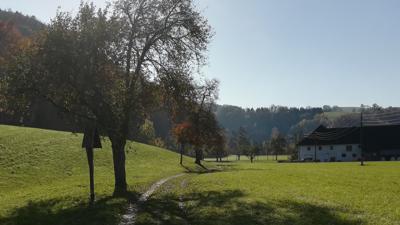 Rundwanderweg Damberg mit Bibelweg