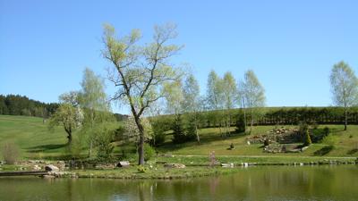 Stamering – Buchholz-Runde