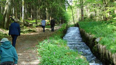 Steilstufenweg – Große Runde