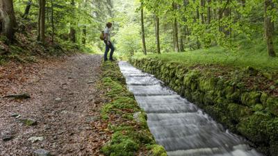 Steilstufenweg – Kleine Runde