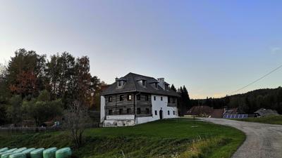 Steuerberg [4] Tiroler