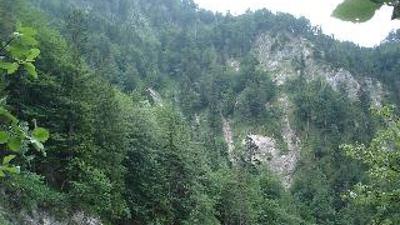 Töpperbrücke – Stiegengraben – Ybbstalerhütte – Lechnergraben – Töpperbrücke