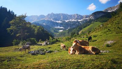 Kaiseralm Runde