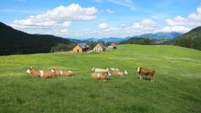 Kalkalpenweg Etappe 3